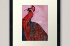JewelBox-Art-Peacock-Magenta-Framed-Art-Print