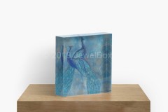 JewelBox-Art-Peacocks-Acrylic-Block