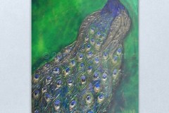 jewelbox-art-peacock