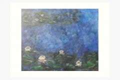 JewelBox-Art-White-Lily-Pond-Art-Print