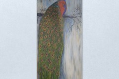 jewelbox-art-peacock-majestic
