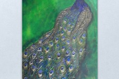 jewelbox-art-peacock