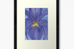 JewelBox-Art-Iris-Framed-Art-Print